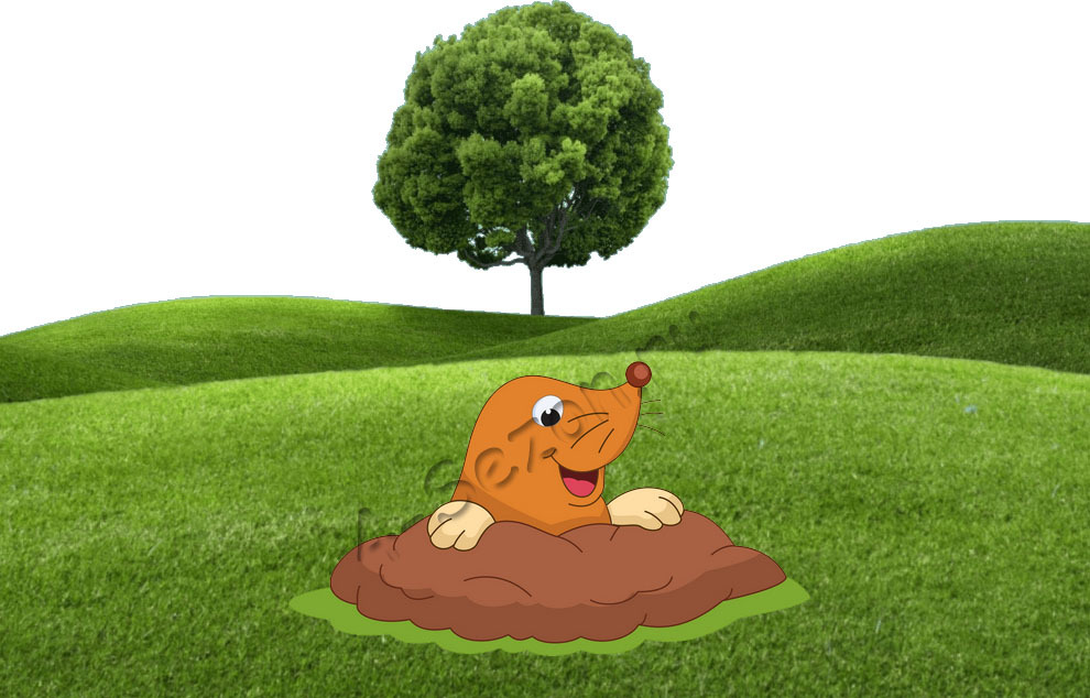 ОБРАБОТКА участков ОТ КРОТОВ