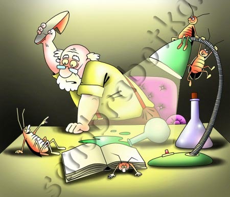 ОБРАБОТКА от Тараканов, Дезинсекция<br>